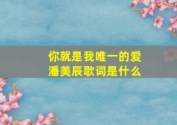 你就是我唯一的爱潘美辰歌词是什么