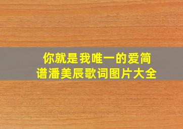 你就是我唯一的爱简谱潘美辰歌词图片大全