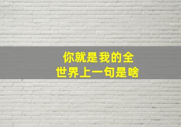 你就是我的全世界上一句是啥