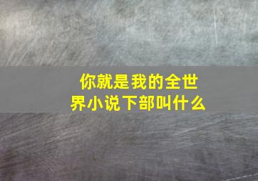 你就是我的全世界小说下部叫什么