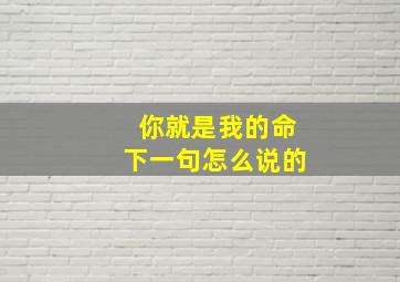 你就是我的命下一句怎么说的