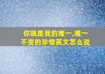 你就是我的唯一,唯一不变的珍惜英文怎么说