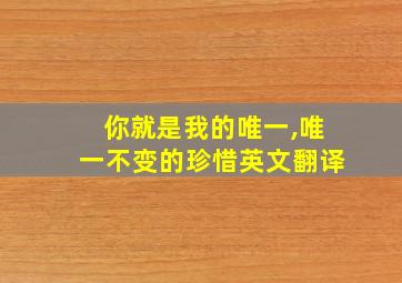 你就是我的唯一,唯一不变的珍惜英文翻译