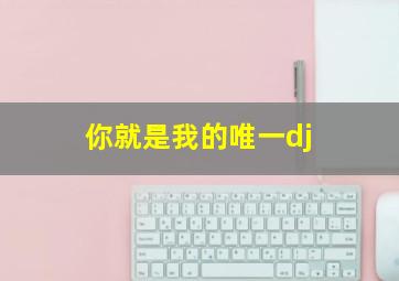 你就是我的唯一dj