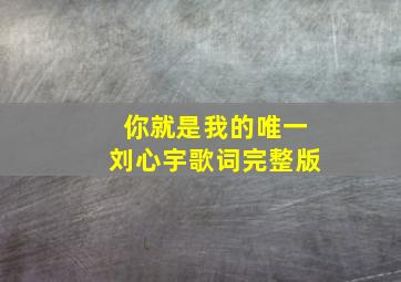 你就是我的唯一刘心宇歌词完整版