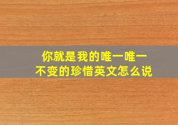 你就是我的唯一唯一不变的珍惜英文怎么说