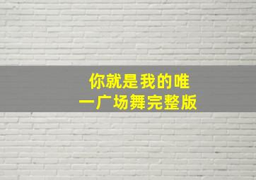 你就是我的唯一广场舞完整版