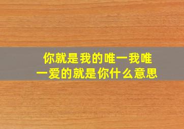 你就是我的唯一我唯一爱的就是你什么意思