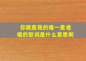 你就是我的唯一是谁唱的歌词是什么意思啊