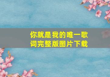 你就是我的唯一歌词完整版图片下载