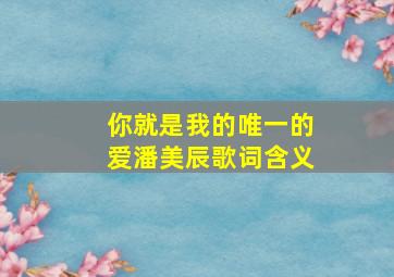 你就是我的唯一的爱潘美辰歌词含义