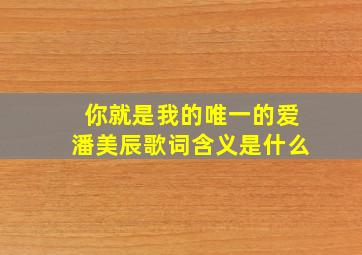 你就是我的唯一的爱潘美辰歌词含义是什么