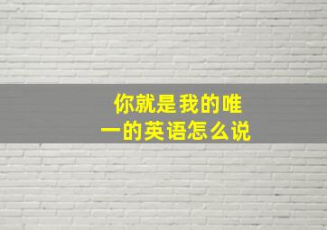 你就是我的唯一的英语怎么说