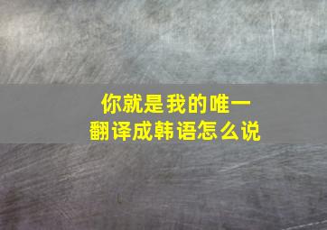 你就是我的唯一翻译成韩语怎么说