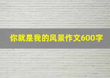 你就是我的风景作文600字