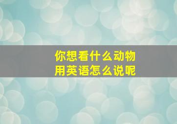 你想看什么动物用英语怎么说呢