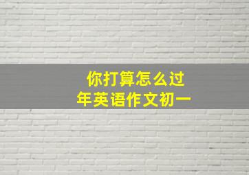 你打算怎么过年英语作文初一