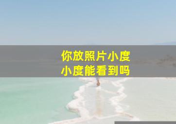 你放照片小度小度能看到吗