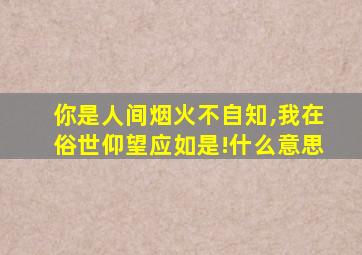 你是人间烟火不自知,我在俗世仰望应如是!什么意思