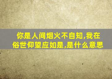 你是人间烟火不自知,我在俗世仰望应如是,是什么意思