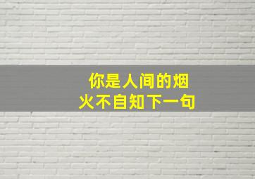 你是人间的烟火不自知下一句