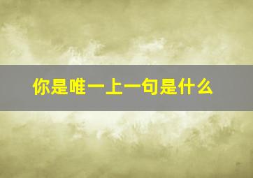 你是唯一上一句是什么