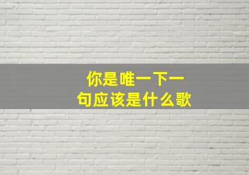 你是唯一下一句应该是什么歌