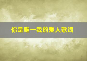 你是唯一我的爱人歌词