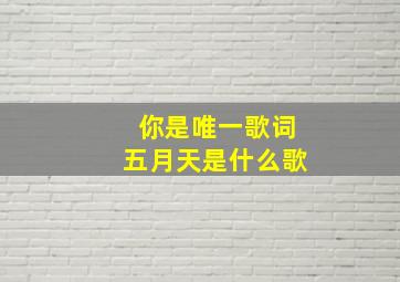 你是唯一歌词五月天是什么歌