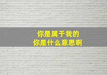 你是属于我的你是什么意思啊