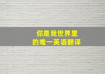 你是我世界里的唯一英语翻译