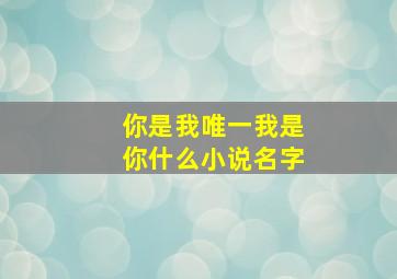 你是我唯一我是你什么小说名字