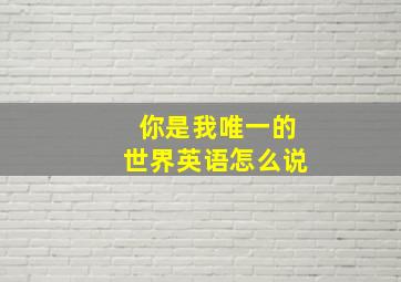 你是我唯一的世界英语怎么说