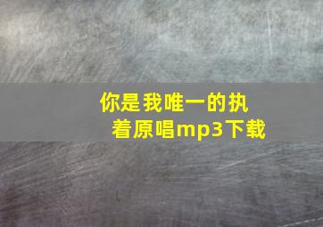 你是我唯一的执着原唱mp3下载