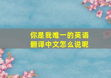 你是我唯一的英语翻译中文怎么说呢