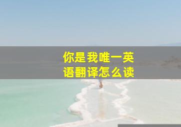 你是我唯一英语翻译怎么读