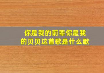 你是我的前辈你是我的贝贝这首歌是什么歌