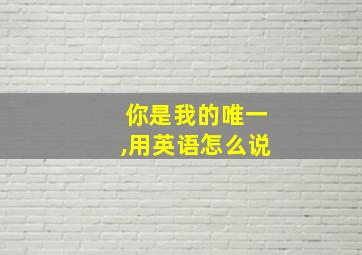 你是我的唯一,用英语怎么说