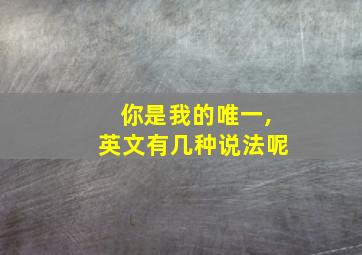 你是我的唯一,英文有几种说法呢