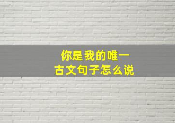 你是我的唯一古文句子怎么说