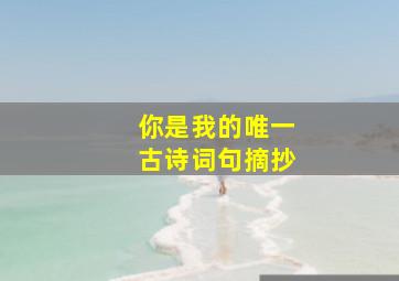 你是我的唯一古诗词句摘抄