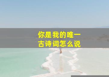 你是我的唯一古诗词怎么说