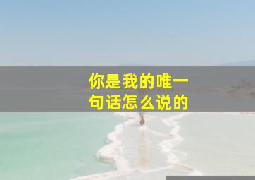 你是我的唯一句话怎么说的