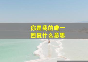 你是我的唯一回复什么意思