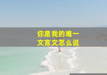 你是我的唯一文言文怎么说