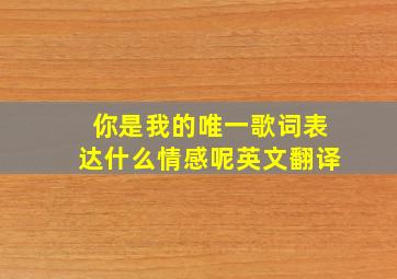 你是我的唯一歌词表达什么情感呢英文翻译