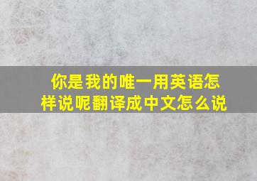 你是我的唯一用英语怎样说呢翻译成中文怎么说