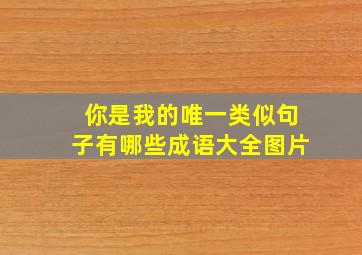 你是我的唯一类似句子有哪些成语大全图片