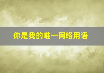 你是我的唯一网络用语