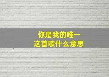 你是我的唯一这首歌什么意思